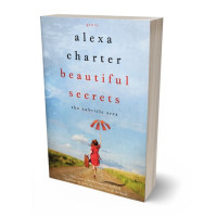 Tablet view of Periwinkle Gray #22059 - Premade Travel Book Cover