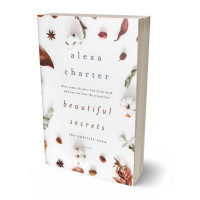 Tablet view of Desert Storm #22087 - Premade Poetry Book Cover