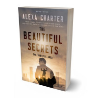 Tablet view of Donkey Brown #22119 - Premade Business Book Cover