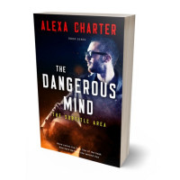 3D view of Premade Erotica Book Cover - Cinder