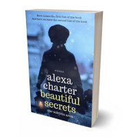 Tablet view of Ebony Clay #22191 - Premade Action & Adventure Book Cover