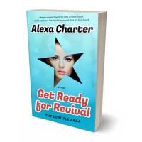 3D view of Premade Chick Lit Book Cover - Spray