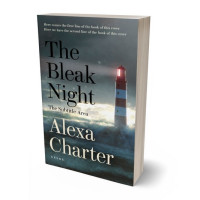 3D view of Premade Literary Fiction Book Cover - Cape Cod