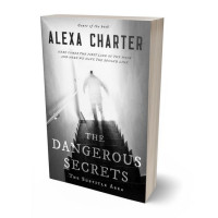 3D view of Premade Horror Book Cover - Silver