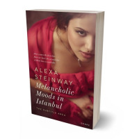 3D view of Premade Erotica Book Cover - Solid Pink