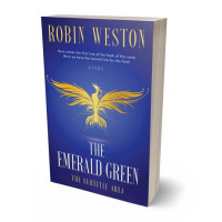 3D view of Premade Fantasy Book Cover - Chambray