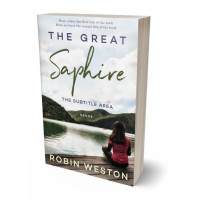 3D view of Premade Teen & Young Adult Book Cover - Black Haze