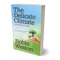 3D view of Premade Science & Nature Book Cover - Ziggurat