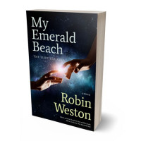 3D view of Premade Religion & Spirituality Book Cover - Ash