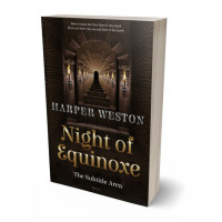Tablet view of Night Rider #22744 - Premade Fantasy Book Cover | BookCoverZone