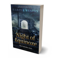 3D view of Premade Fantasy Book Cover - Ebony Clay