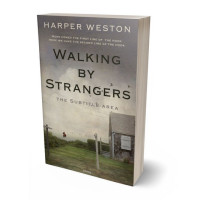 Tablet view of Flint #22775 - Premade Literary Fiction Book Cover