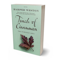 3D view of Spring Rain #22873 - Premade Fantasy Book Cover