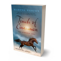 3D view of Blue Bayoux #22874 - Premade Western Book Cover