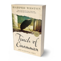 3D view of Premade Mystery & Thriller & Suspense Book Cover - Rangitoto