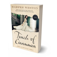 3D view of Premade Chick Lit Book Cover - Parchment