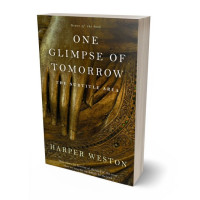 3D view of Premade Religion & Spirituality Book Cover - Bronzetone