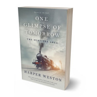 Tablet view of Mist Gray #22943 - Premade Historical Book Cover