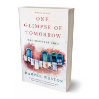 3D view of Premade Literary Fiction Book Cover - Ebb