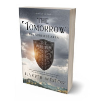 Tablet view of Oslo Gray #22962 - Premade Historical Book Cover