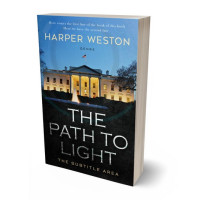 3D view of Premade Mystery & Thriller & Suspense Book Cover - Woodsmoke