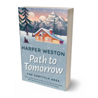 Tablet view of Gull Gray #23169 - Premade Literary Fiction Book Cover