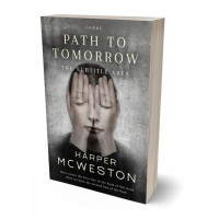 3D view of Premade Teen & Young Adult Book Cover - Masala