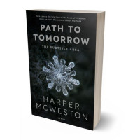 3D view of Premade Abstract Book Cover - Woodsmoke