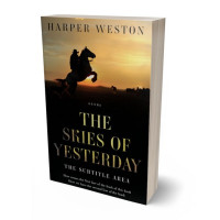 3D view of Premade Western Book Cover - Twine