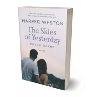 3D view of Premade Romance Book Cover - River Bed