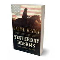 Tablet view of Cocoa Brown #23293 - Premade Action & Adventure Book Cover