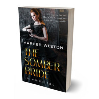 3D view of Premade Historical Book Cover - Woodsmoke