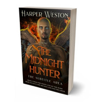 3D view of Premade Fantasy Book Cover - Night Rider