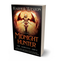 3D view of Premade Fantasy Book Cover - Asphalt