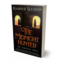 3D view of Premade Fantasy Book Cover - Night Rider