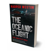 3D view of Premade Mystery & Thriller & Suspense Book Cover - Quicksand