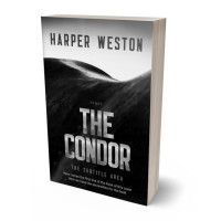 3D view of Cod Gray #23482 - Premade Western Book Cover