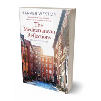 3D view of Premade Literary Fiction Book Cover - Silver Rust