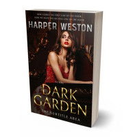 Tablet view of Night Rider #23549 - Premade Romance Book Cover