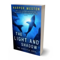 3D view of Premade Mystery & Thriller & Suspense Book Cover - Downriver