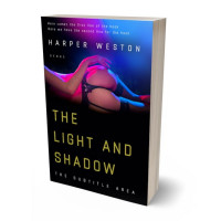 3D view of Premade Erotica Book Cover - Tapestry