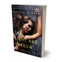 3D view of Premade Erotica Book Cover - Thunder