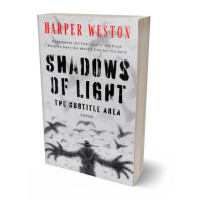 3D view of Premade Horror Book Cover - French Gray