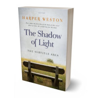 3D view of Premade Literary Fiction Book Cover - Birch