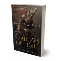 3D view of Premade Fantasy Book Cover - Cocoa Brown