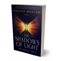 3D view of Premade Fantasy Book Cover - Ebony