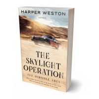 Tablet view of Double Spanish White #23810 - Premade Travel Book Cover