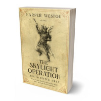 Tablet view of Brandy #23812 - Premade Historical Book Cover