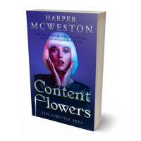 3D view of Premade Erotica Book Cover - Minsk