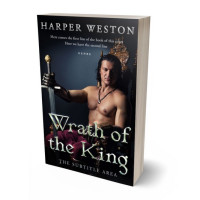 3D view of Premade Erotica Book Cover - Woodsmoke